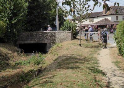 Photo of walkers in Winterborne Kingston – July 25, 2026