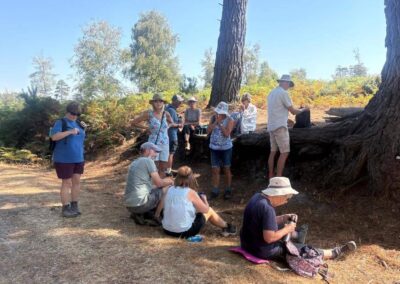 Photo taken during lunch break near Burnbake Plantation – August 12, 2026