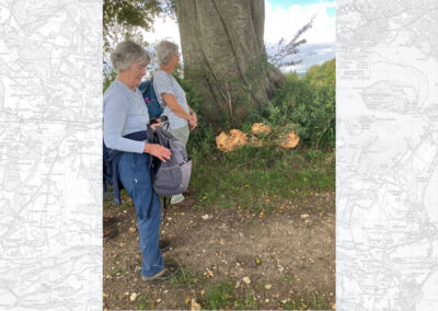 Photo of walkers with a large bracket fungus – September 16, 2026