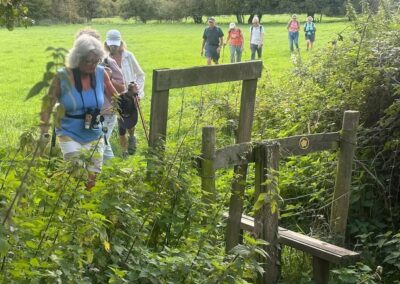 Photo of walkers approaching a stile overgrown with stinging nettles – September 23, 2026